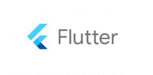 Flutter. Top software development company with vast experience in custom software development and designing. Provide support all over US and UK.